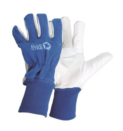 Bluestar Special Tech handske