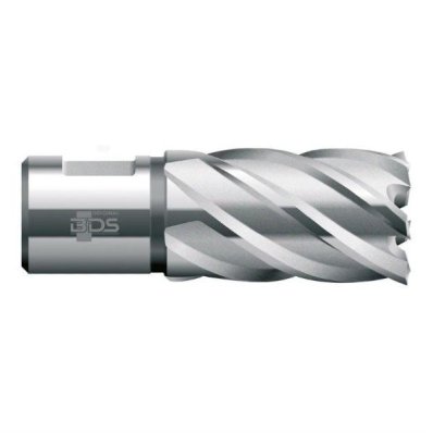 HSS  60 x 30 x 19 mm weldon skaft