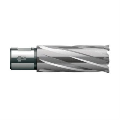 HM 68,0 x 55 x 32 mm weldon skaft