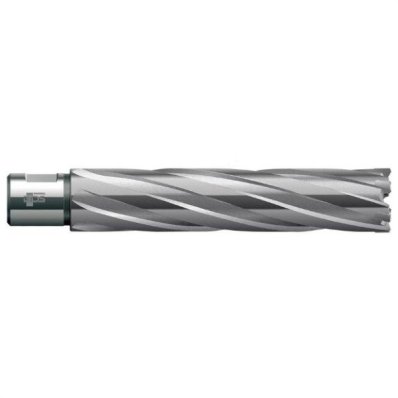 HM 60,0 x 110 x 19 mm weldon skaft
