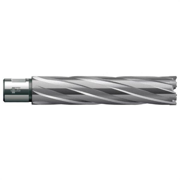 HM 52,0 x 110 x 19 mm weldon skaft