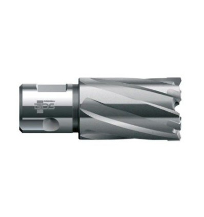 HM 67,0 x 55 x 32 mm weldon skaft